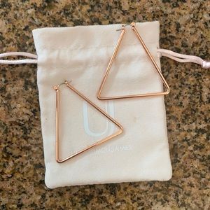 NWT Uncommon James chemistry hoop earrings